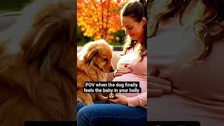 Dog's SHOCKED Reaction to Feeling Baby Kick for the First Time1 ❤️😍 #shortsviral #dogreaction