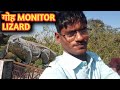    indian monitor lizard    up bihar blogs