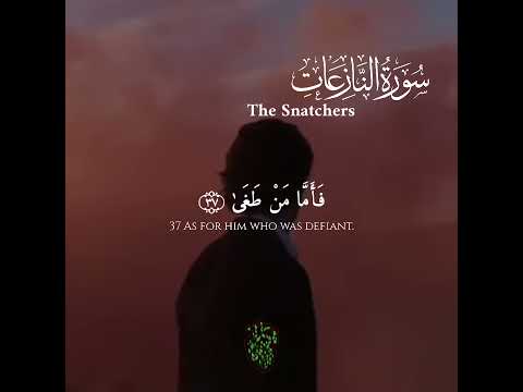 فأما من طغى وآثر الحياة الدنيا من سورة النازعات بصوت القارئ رعد الكردي 