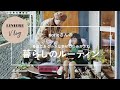 Vlog【暮らしのルーティン】norioさんの身近にある小さな幸せの積みかさね