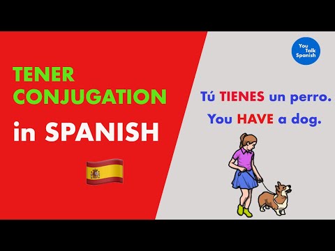 Learn Spanish: conjugate the verb tener 🇪🇸