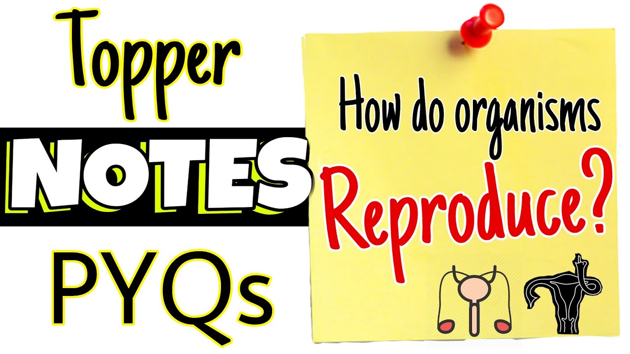 How do organisms Reproduce? CLASS 10 NOTES & PREVIOUS YEARS QUESTIONS |Class  10 reproduction notes | - YouTube