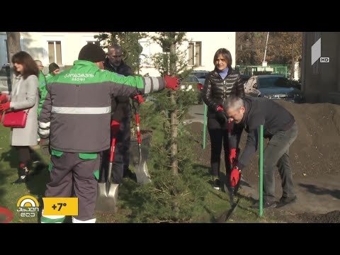 #ახალიდღე ხეების დარგვის აქცია -  „ავერსის“ და თბილისის მერიის ერთობლივი პროექტი