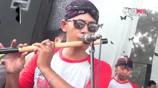 Download Lagu goyang mujair dangdut koplo pallapa MP3 Download Lagu goyang mujair dangdut koplo pallapa MP3