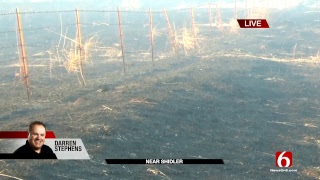 News On 6 Live Stream