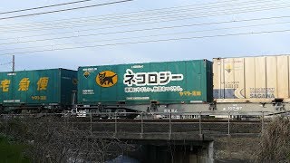 2019/04/05 JR貨物 朝の貨物列車54レ 1055レ(120fps) 1071レ 遅れ不明レ2本 大谷川踏切