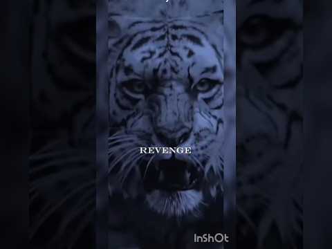 Unleash the Tiger Within: Fearless Motivation for Success!