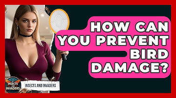 How Can You Prevent Bird Damage? - Insects and Invaders