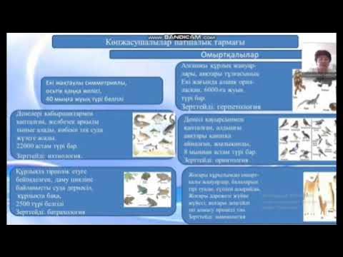 Әйел ер адамды белдікпен таң қалдырады.