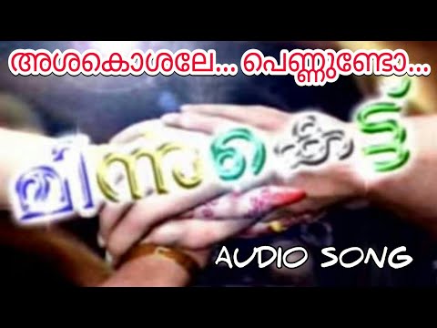 Ashakushale pennundo  penninu minnundo audio song minnukettu serial 