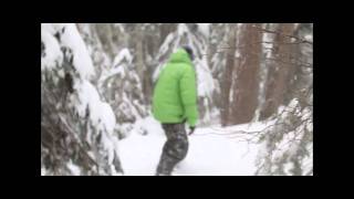 EPIC POWDER TREE RUN @ T-LINE 2-22-11 2.wmv