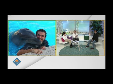 როგორ ემზადება ბათუმის დელფინარიუმი ტურისტული სეზონისთვის