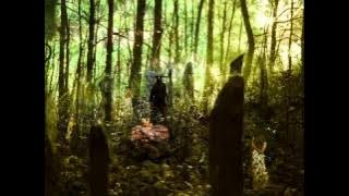 Medwyn Goodall / Runestone - Nine Maiden Chronicles (Druid II)