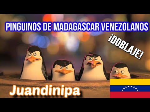 Pinguinos de Madagascar VENEZOLANOS DOBLAJE | Juandinipa
