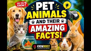 Pet Animals And Their Amazing Facts