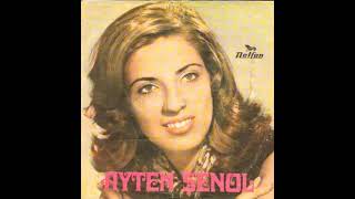 Ayten Şenoldan Bir 45Lik Plak