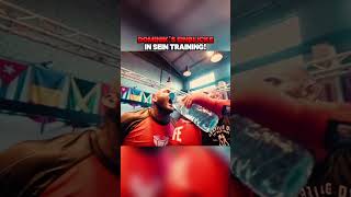 Dominik zeigt sein TRAINING! RINGLIFE COMBAT