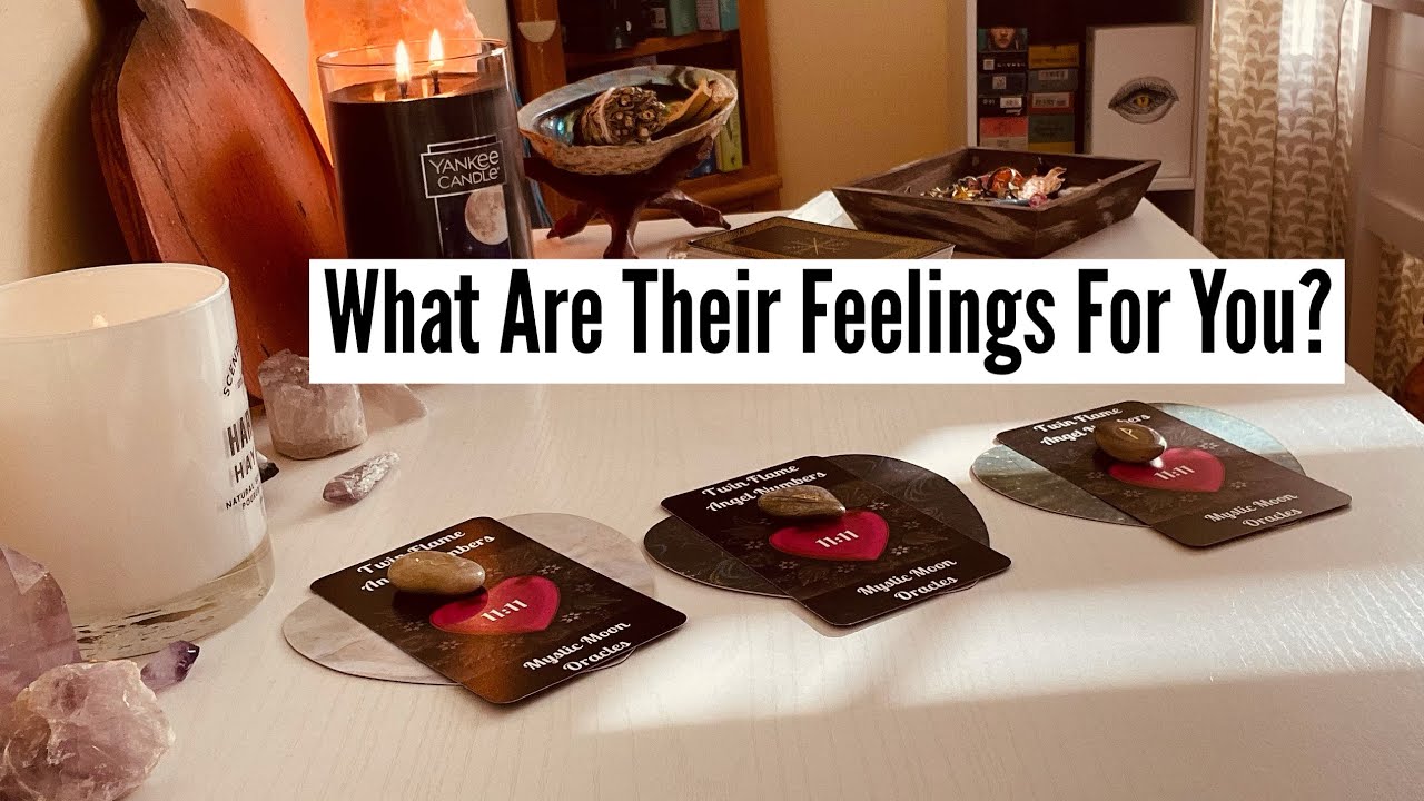 Pick A Card. What Are Their Feelings For You Today? 💞💞 Timeless Love Reading.