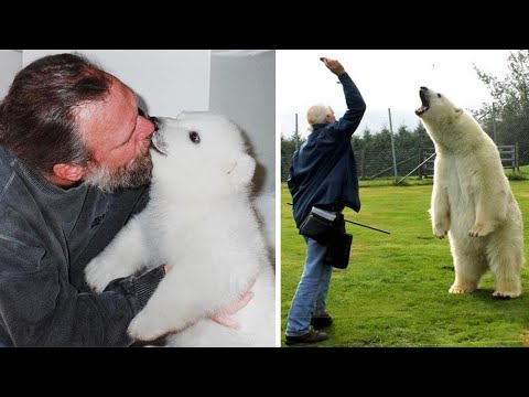 Белый медведь и человек лучшие друзья! История самой необычной дружбы!