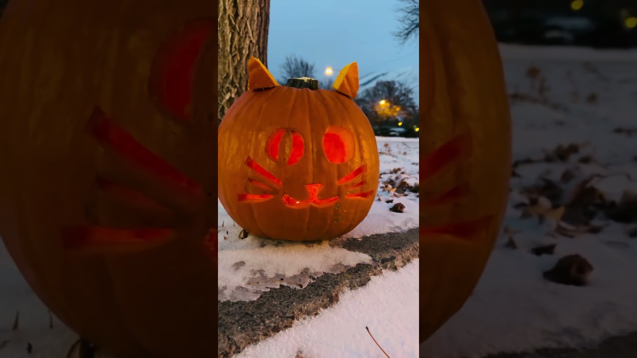 Pumpkin carving party 2023 🎃🍁🧡