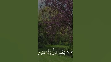القارئ : ماهر المعيقلي | سورة الشعراء #اكسبلور #لايك #دويتو #المصحف #راحة_نفسية