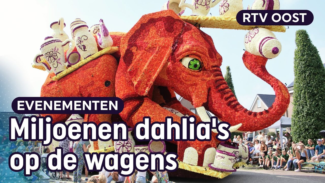 Kijk hier het volledige Bloemencorso van Sint Jansklooster | RTV Oost