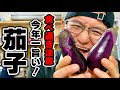 材料2つだけ！肉がないのにこの満足感⁉︎超簡単"ナスつけ蕎麦"の作り方