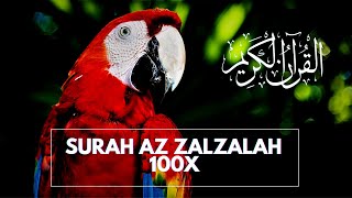 SURAH AZ ZALZALAH (AL ZALZALAH) HAFALAN 100x | الزلزلة | HAFALAN AZ ZALZALAH 100X