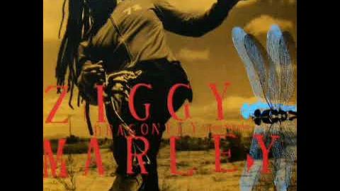 Z.i.g.g.y * M.a.r.l.e.y - D.r.a.g.o.n.f.l.y