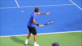 Roger Federer Genius Strokes