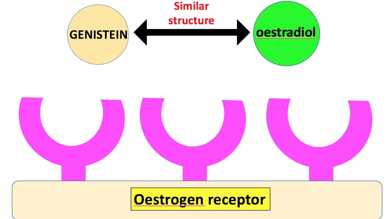 Phytochemicals and health - Genistein