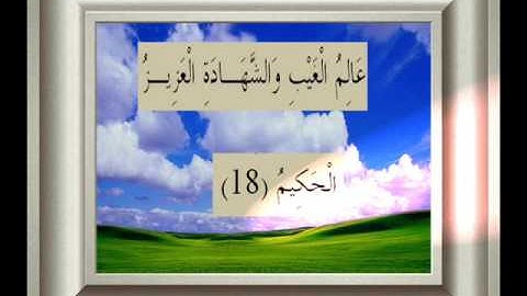 القران الكريم سورة التغابن الأية 18.wmv