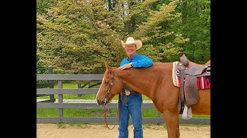 Herm Gailey:  A Lifetime with Horses - Series Introduction and Episode 1:  A Filly with a Temper