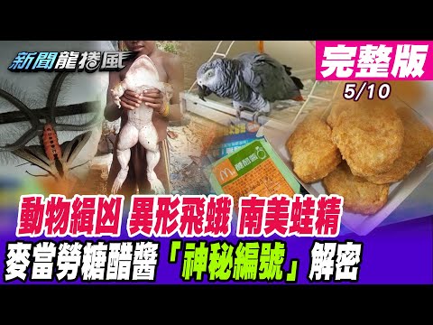 台灣-新聞龍捲風-20210510 蒼蠅、鸚鵡、貓狗「動物緝凶」辦案嚮導？異形巨蛾「來自冥界的使者」帶來死亡預兆？