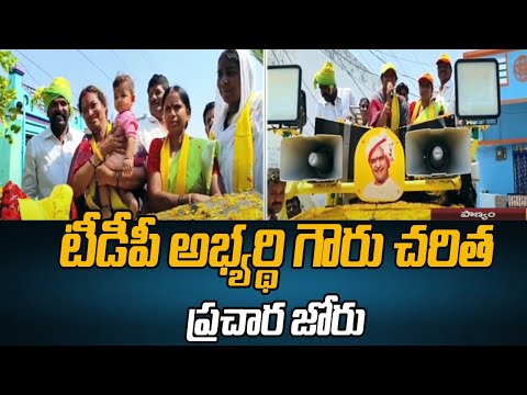 Panyam MLA Candidate Gowru Charitha Reddy Election Campagin | Chandrababu | TV5 News - TV5NEWS