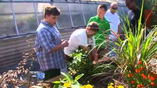 Never Stop Learning: Outdoor Learning