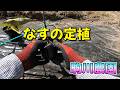 なすの定植　駒川農園　26.5.20