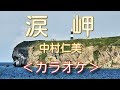 新曲【涙岬】中村仁美(カラオケ)