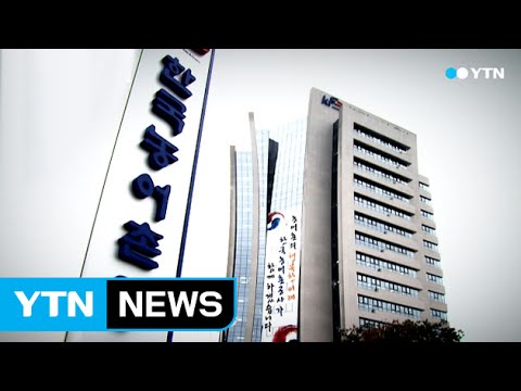 불법 낙찰 뒤 해외 도피...결국 쇠고랑 / YTN