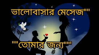 ভালোবাসার মেসেজ||মন জয় করার sms ||মিষ্টি প্রেমের ছন্দ sms||ভালোবাসার রোমান্টিক মেসেজ||বাংলা লাভ sms screenshot 1