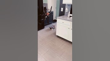 The $320 Challenge: Making Money on Upwork with Chat GPT"#chatgpt #upwork #makemoneyonline