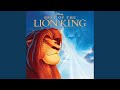 They Live in You (From "The Lion King Original Broadway Cast Recording")