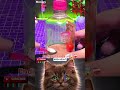 “Warning: Too Cute To Handle 😻 Subscribe Before It Ends!” #relatable #duet #cutecats #memes #cat