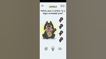Brain it on Level 6 Which paw is similar to a dog