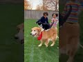 Cat & Dog Playing and Jumping with Kids 🐱🐶😂 | cat dog#funnyanimal