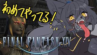 【FINAL FANTASY XIV】エオルゼアぶらぶら日和part.7 #FF14