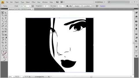 Adope Flash Tutorial CS4 Exploring Live Trace Presets