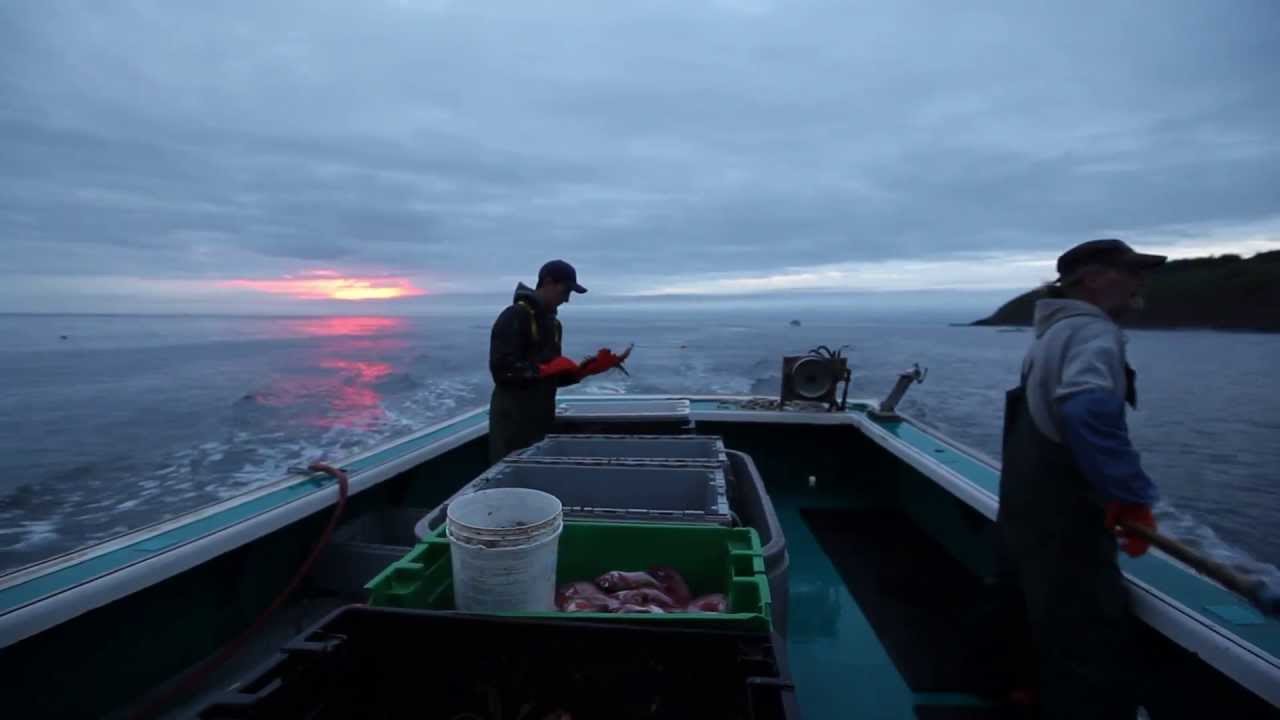 Lobster fishing off Antigonish YouTube