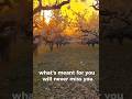 What’s meant for you will never miss you!