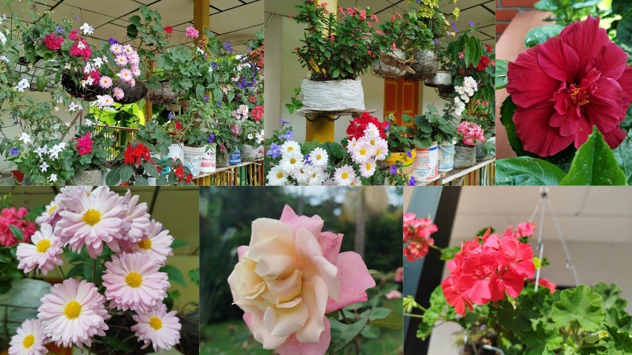 HERMOSO JARDÍN CAMPESINO 😍